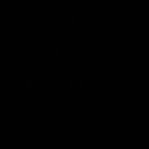 Meet your Posher, Haifa